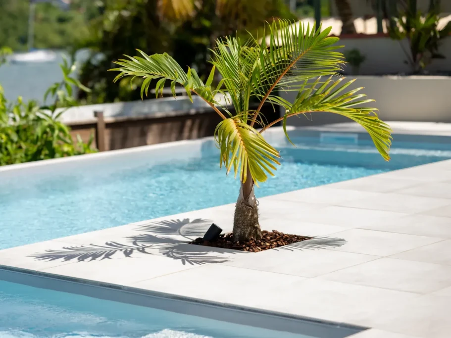 Piscine villa Palmier près d'une piscine, avec ombre projetée sur le sol.